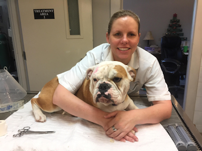 Dr. Katie McCurdy DVM